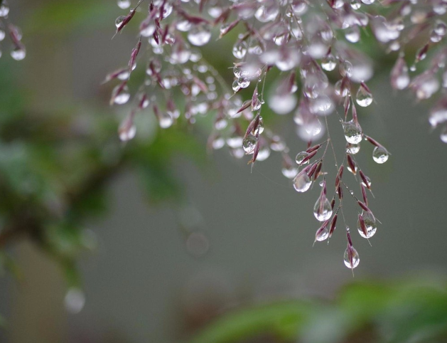 多吃这5种食物，秋冬少生病！